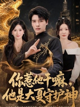 你惹他幹嘛,他是大夏守護神海報