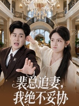 裴總追妻，我絕不妥協海報