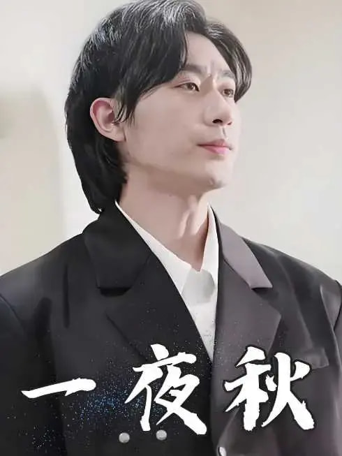 陸少寵妻如命海報