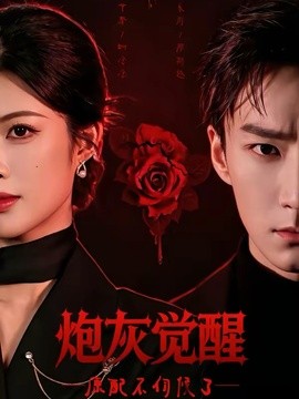 炮灰覺醒,原配不伺候了海報