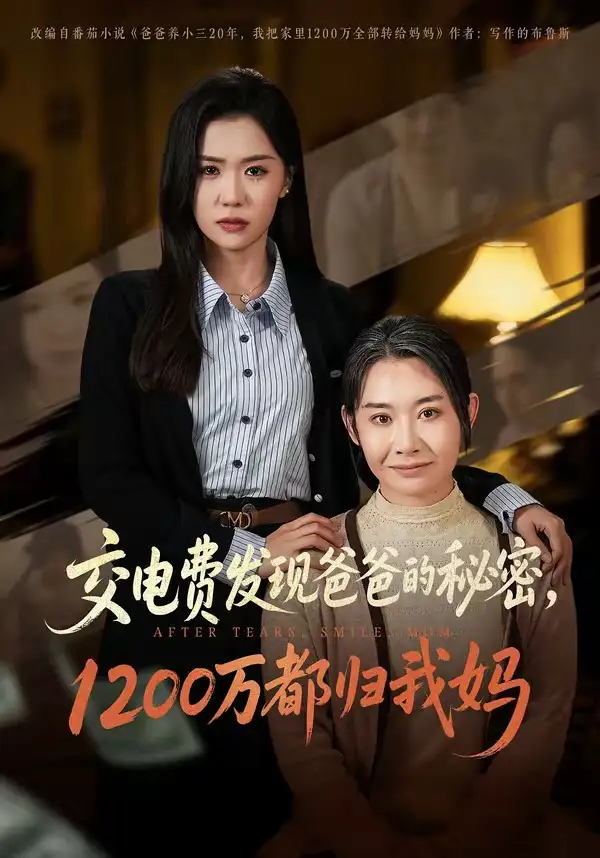 交電費發現爸爸的秘密1200萬都歸我媽海報