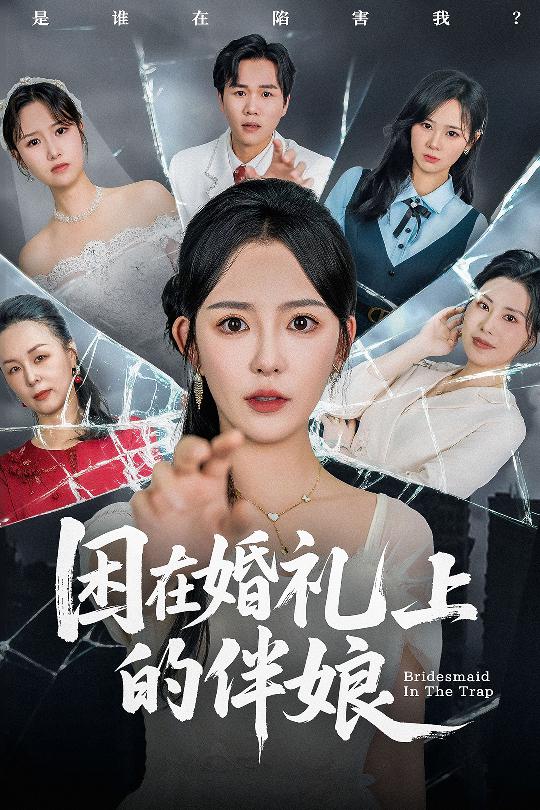 困在婚禮上的伴娘海報