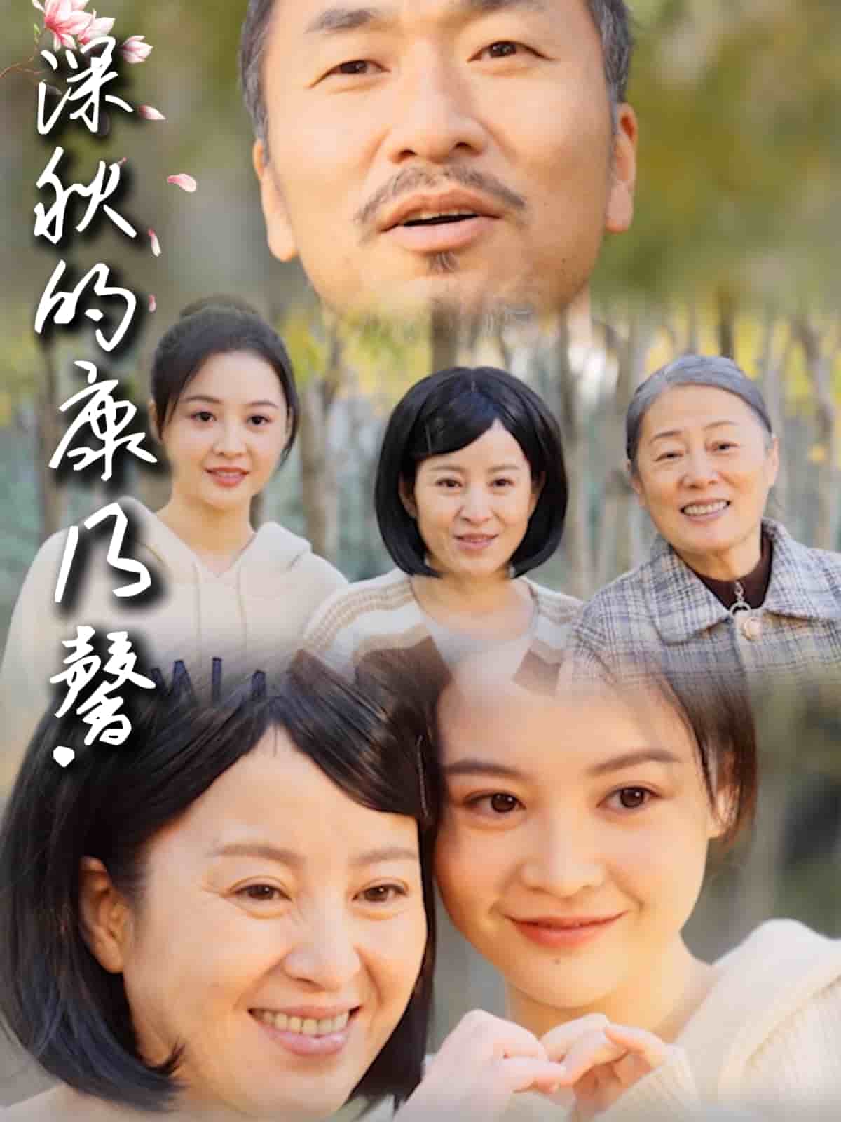 深秋的康乃馨海報