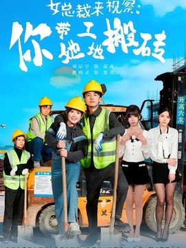 女總裁來視察:你帶她工地搬磚海報