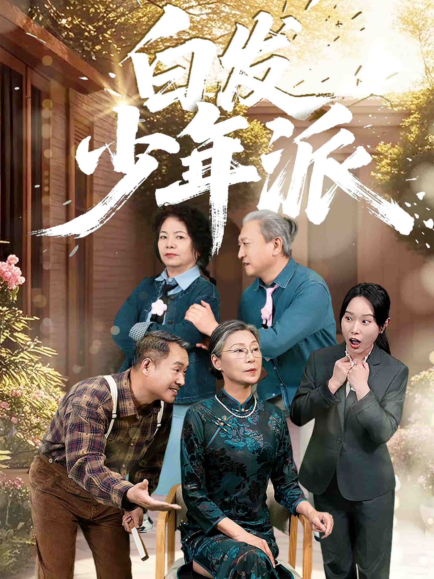 白髮少年派海報