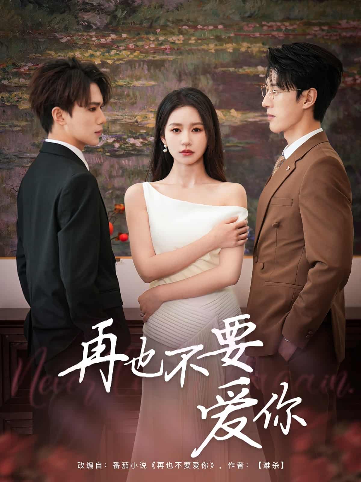 再也不要愛你海報