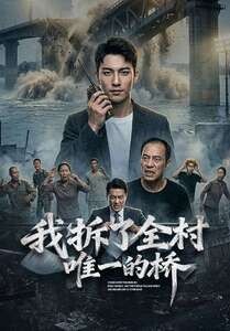 我拆了全村唯一的橋海報
