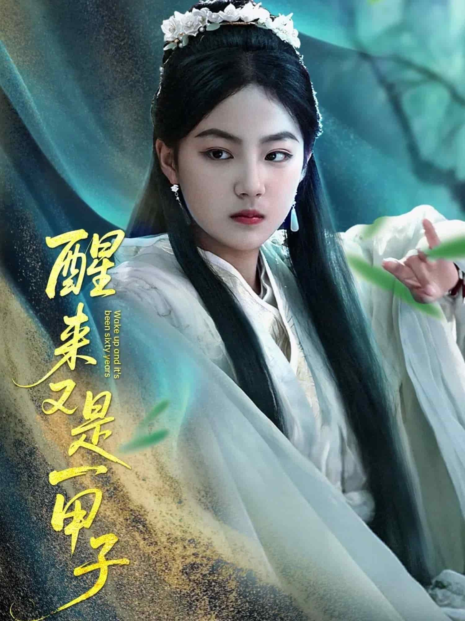 醒來又是一甲子海報