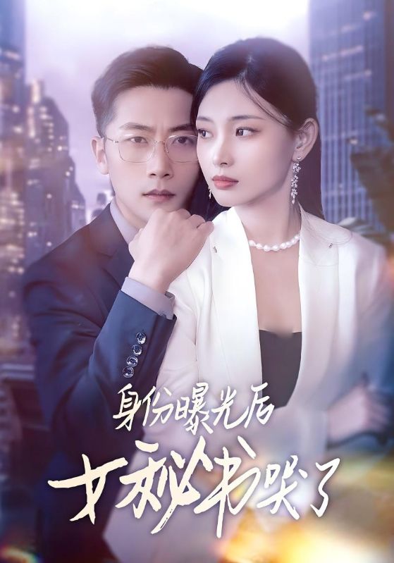 身份曝光後女秘書哭了海報