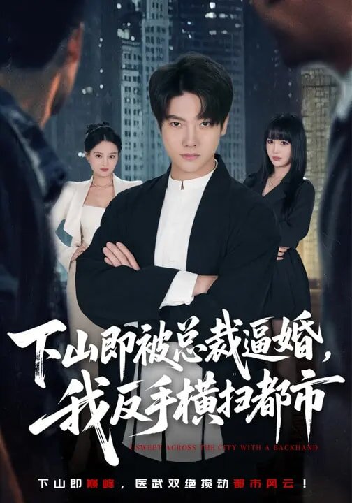 下山即被總裁逼婚,我反手橫掃都市海報