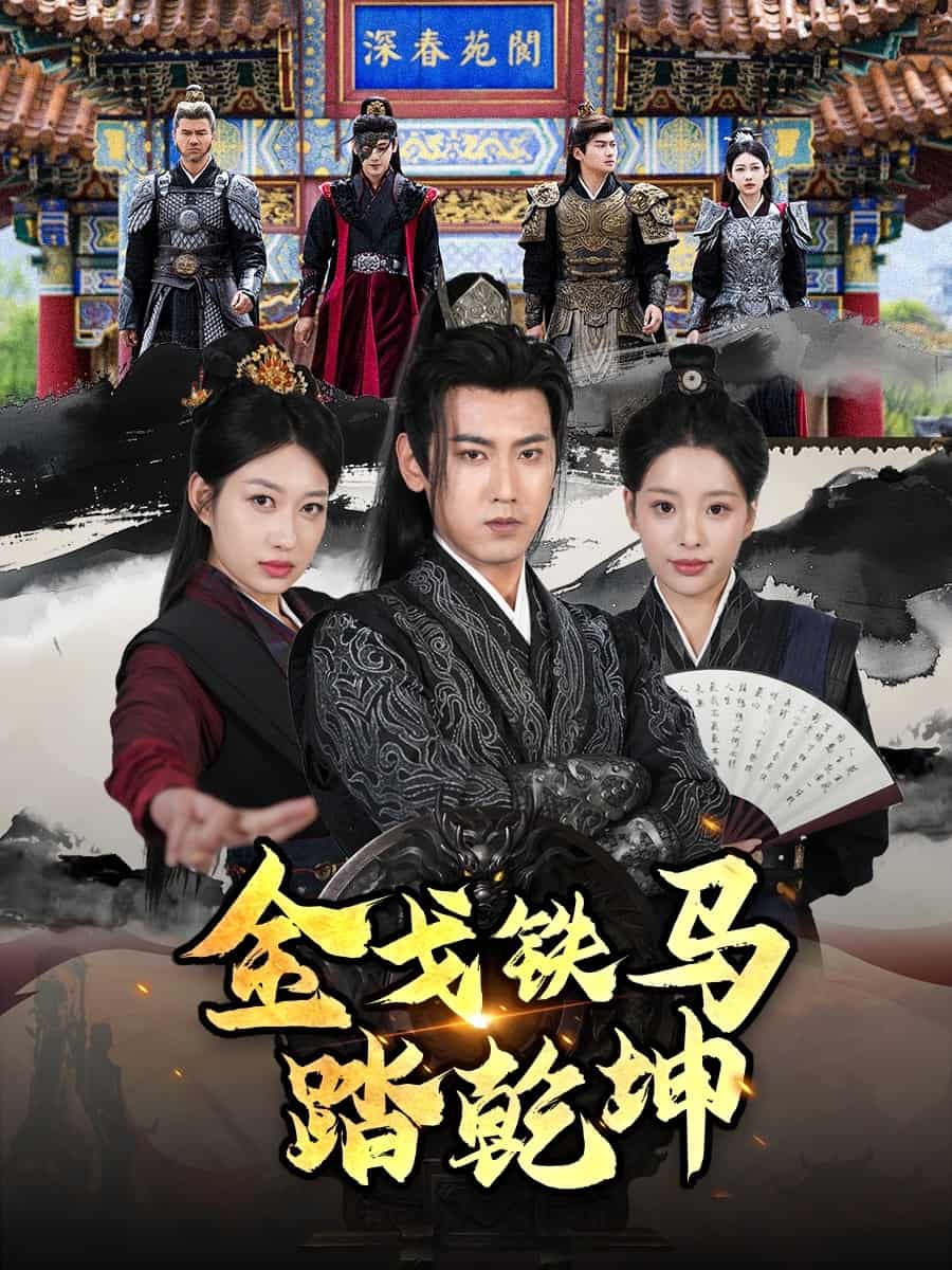 金戈鐵馬踏乾坤海報