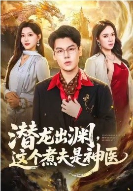 潛龍出淵,這個煮夫是神醫海報
