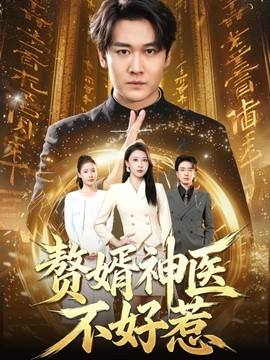贅婿神醫不好惹海報