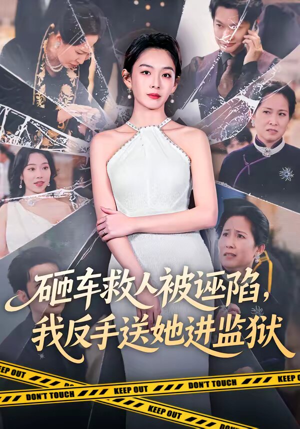 砸車救人被誣陷,我反手送她進監獄海報