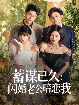 蓄謀已久:閃婚老公暗戀我海報