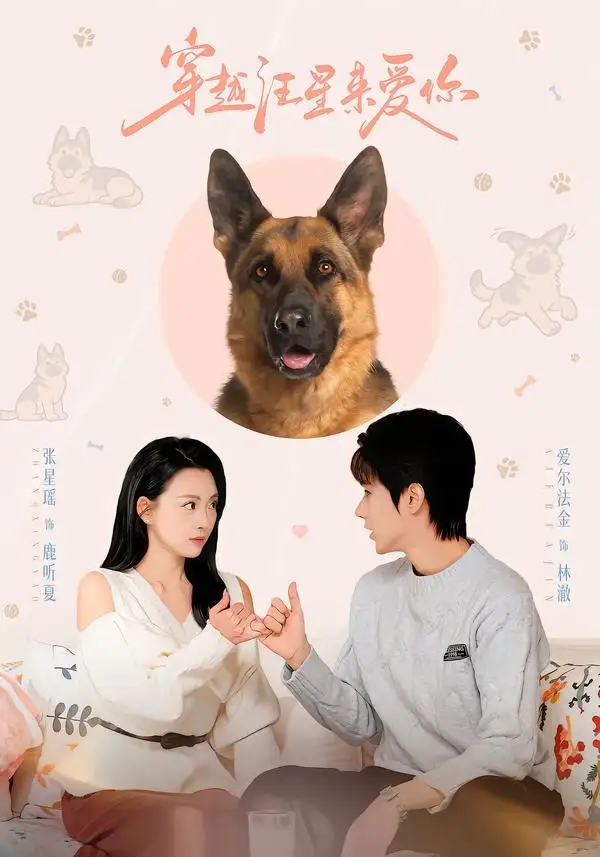 穿越汪星來愛你海報