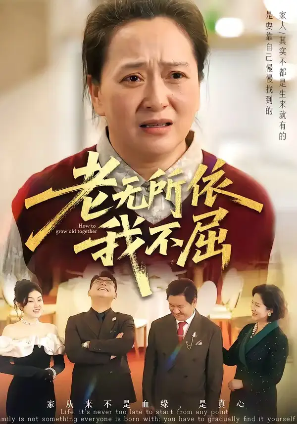 老無所依我不屈海報