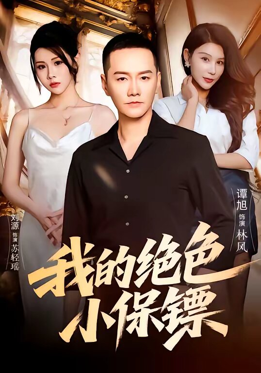 我的絕色小保鏢海報