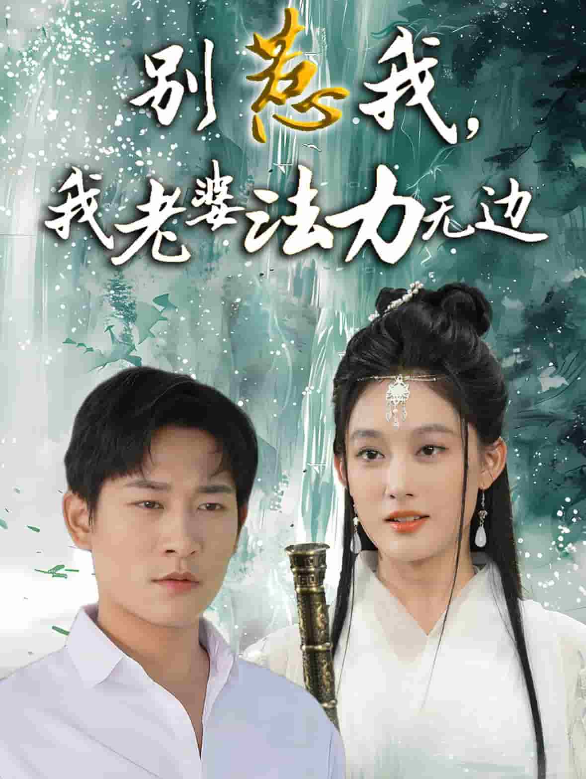 別惹我,我老婆法力無邊海報
