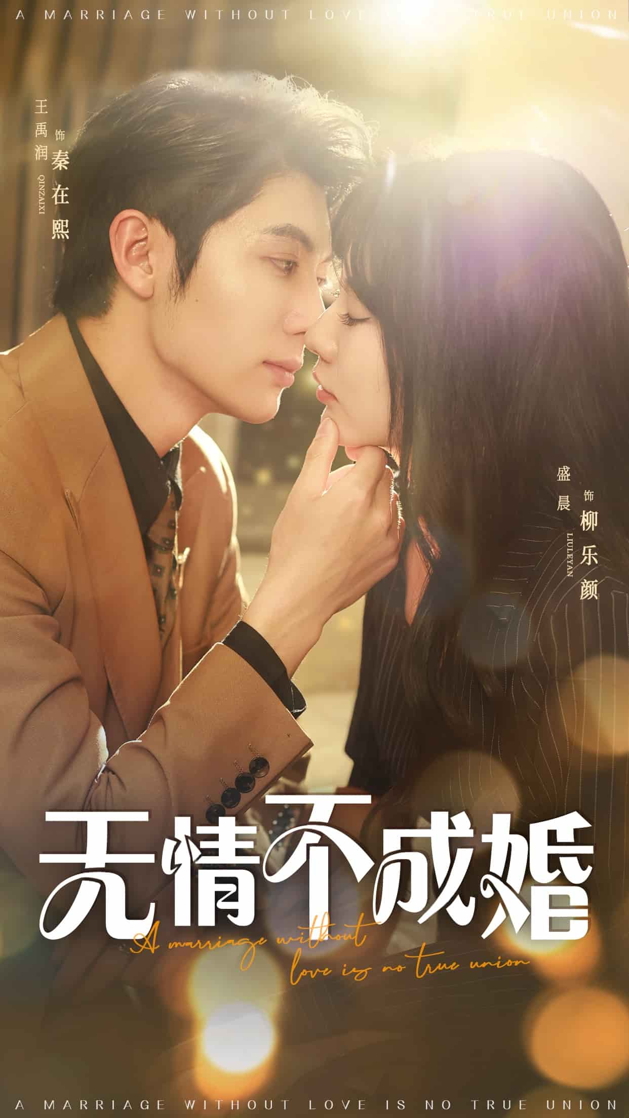無情不成婚海報