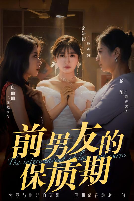 前男友的保質期海報