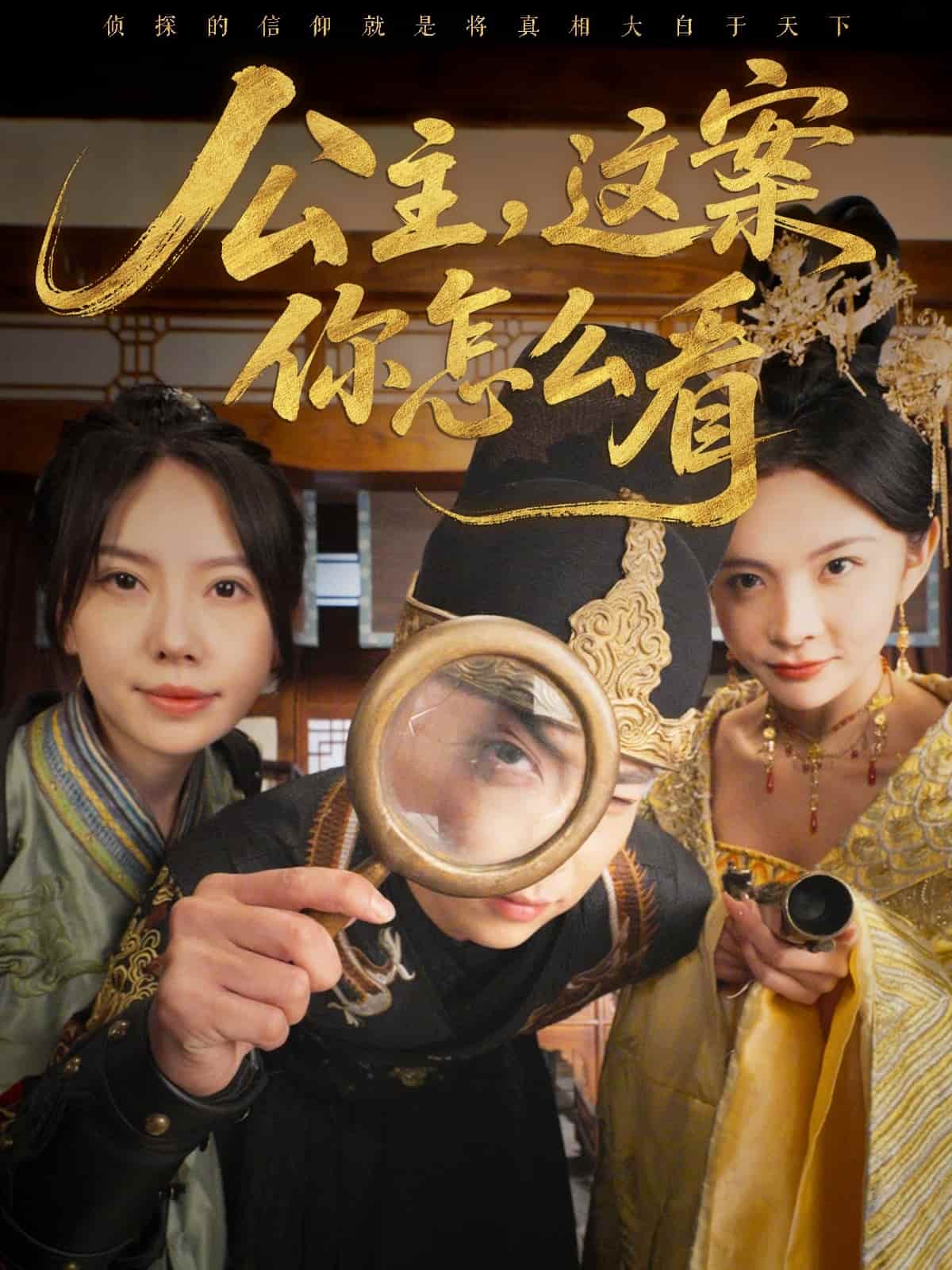 公主,這案你怎麼看海報