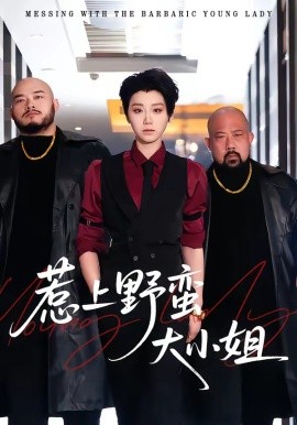 惹上野蠻大小姐海報