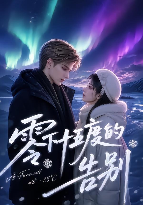 零下十五度的告別海報