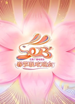 2023北京衛視春晚海報