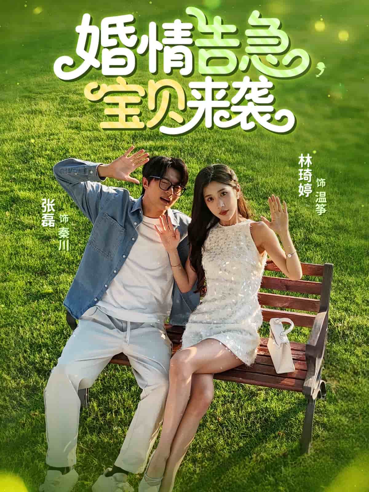 婚情告急寶貝來襲海報