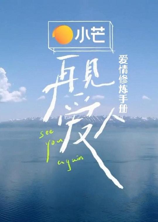 再見愛人愛情修煉手冊海報