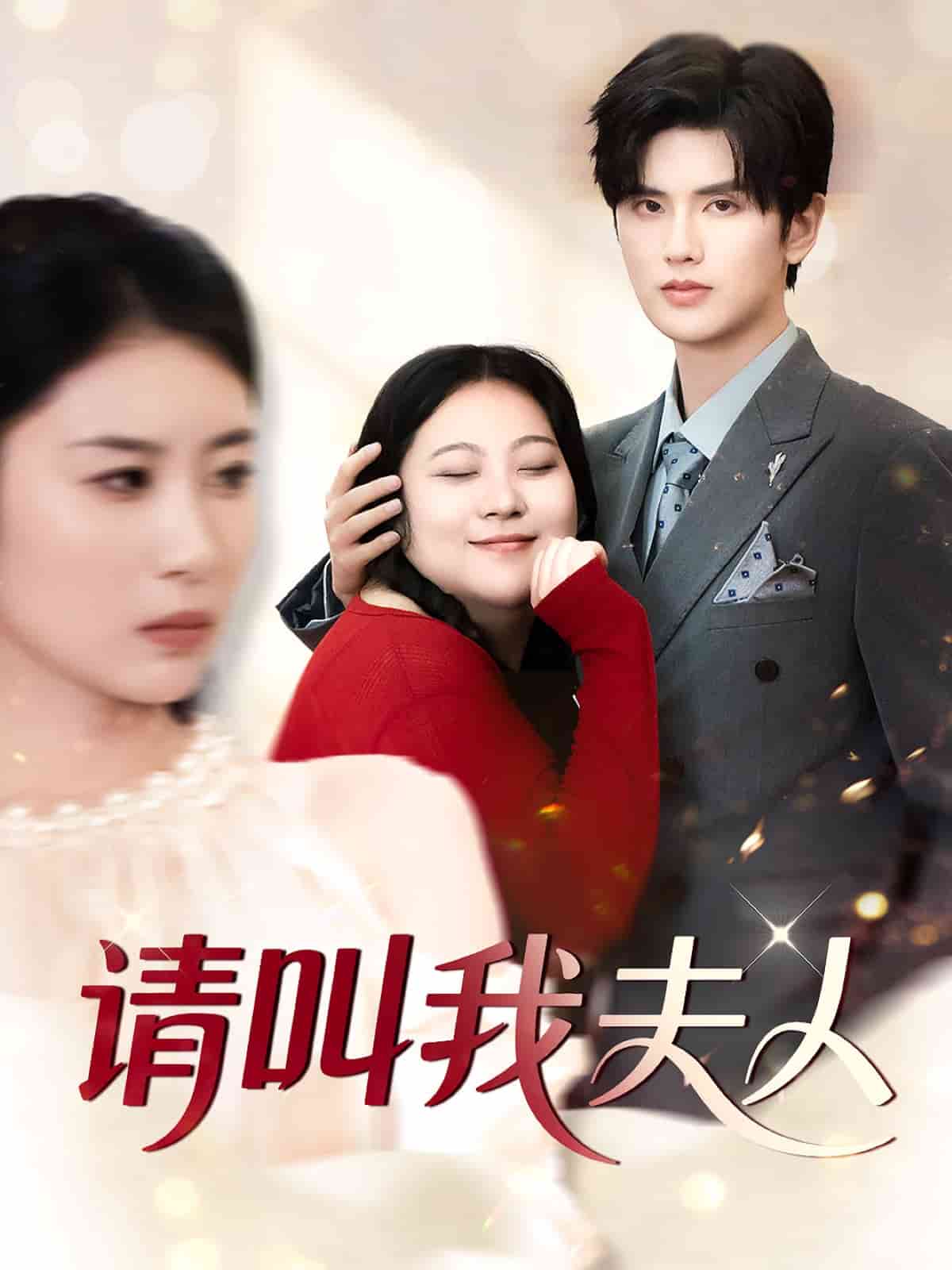 請叫我夫人海報