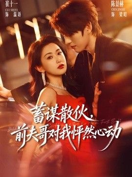 蓄謀散夥,前夫哥對我怦然心動海報