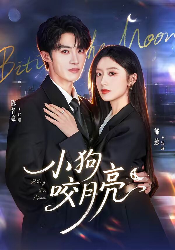 小狗咬月亮海報