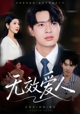 無效愛人海報