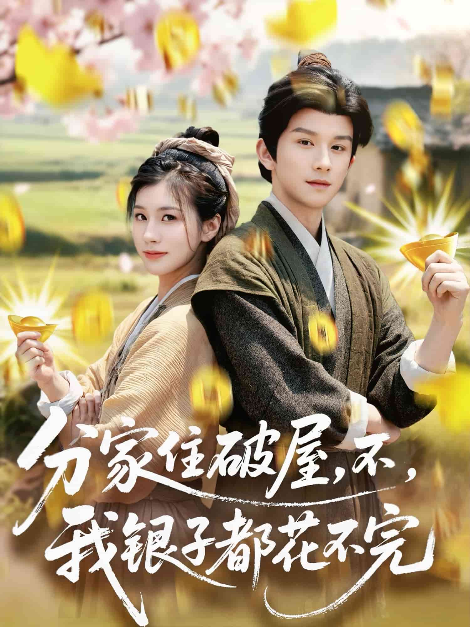 分家住破屋,不,我銀子都花不完海報