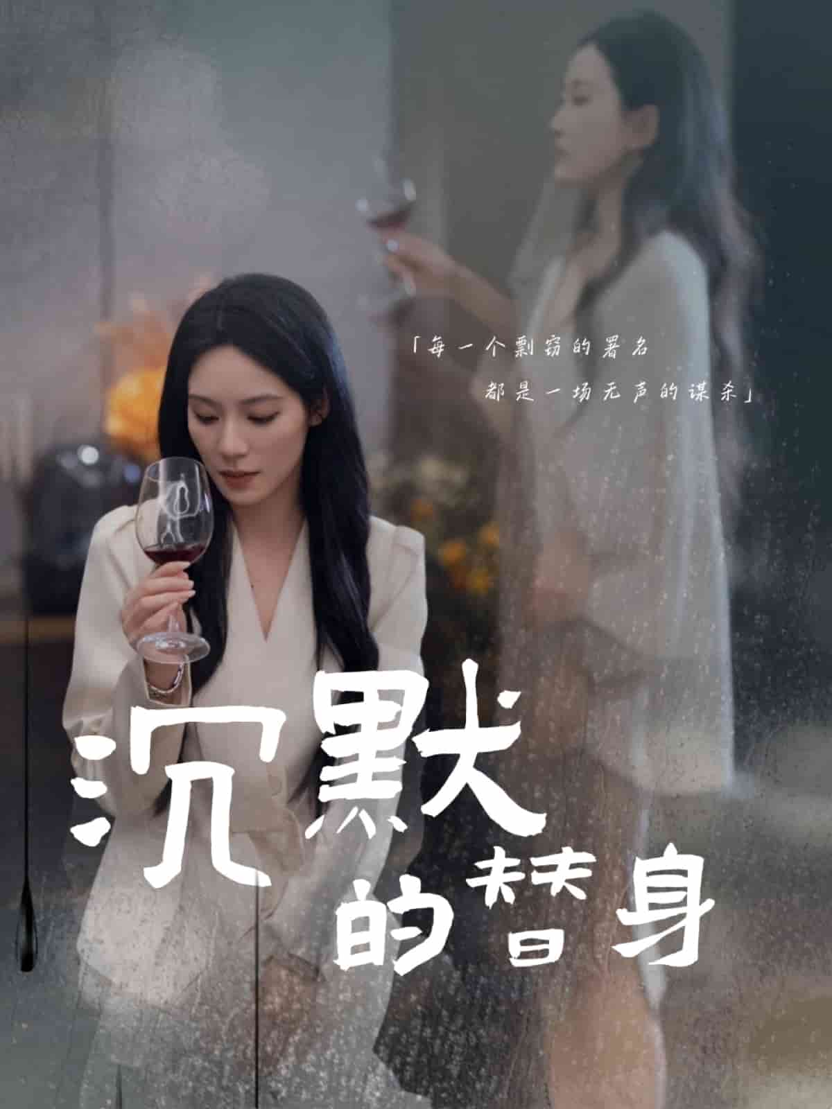 沉默的瘋子海報