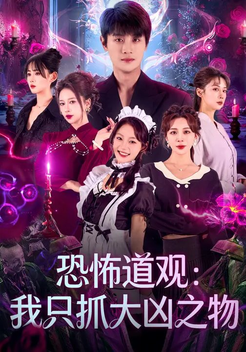 恐怖道觀:我只抓大凶之物海報