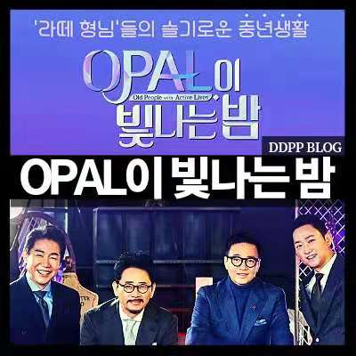 OPAL閃耀的夜海報