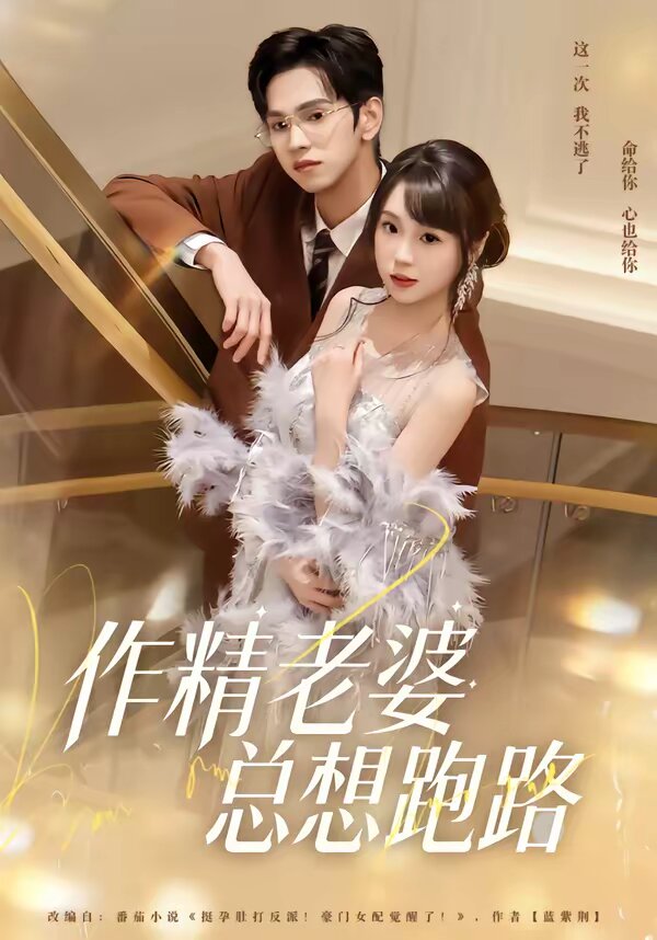 作精老婆總想跑路海報