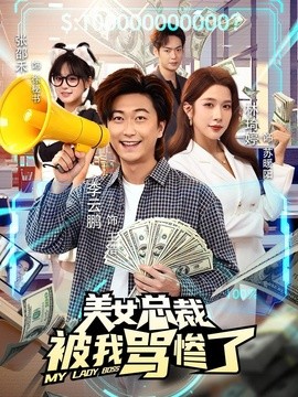 美女總裁被我罵慘了海報
