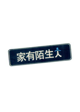 家有陌生人海報