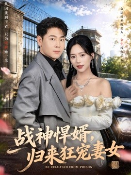 戰神悍婿,歸來狂寵妻女海報
