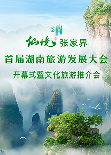 首屆湖南旅遊發展大會開幕式暨文化旅遊推介會海報