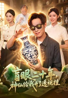 盲眼二十年,神仙給我開了透視掛海報