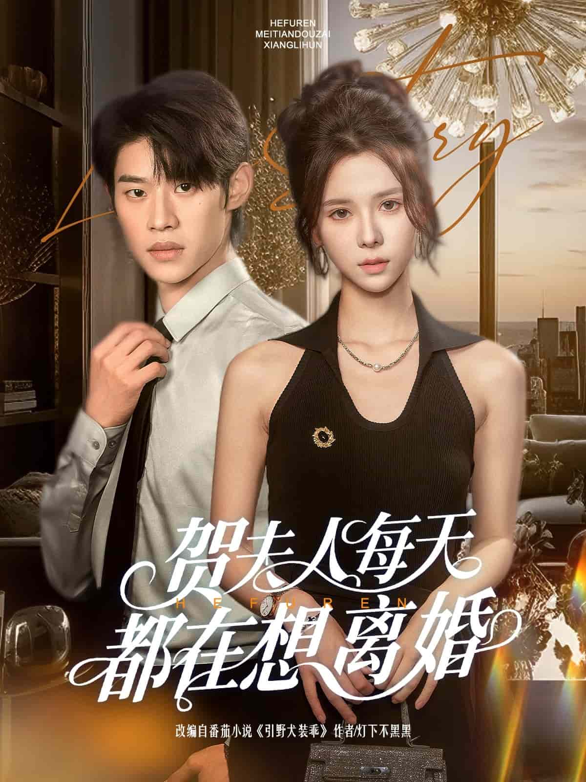 賀夫人每天都在想離婚海報