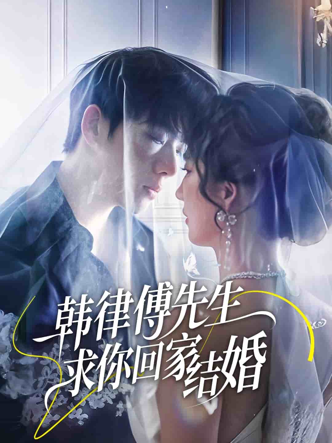 韓律傅先生求你回家結婚海報