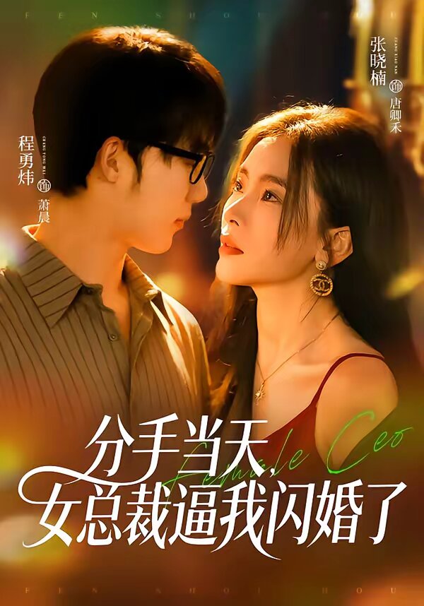 分手當天,女總裁逼我閃婚了海報