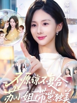 不原諒不復合,蘇小姐帶崽獨美海報