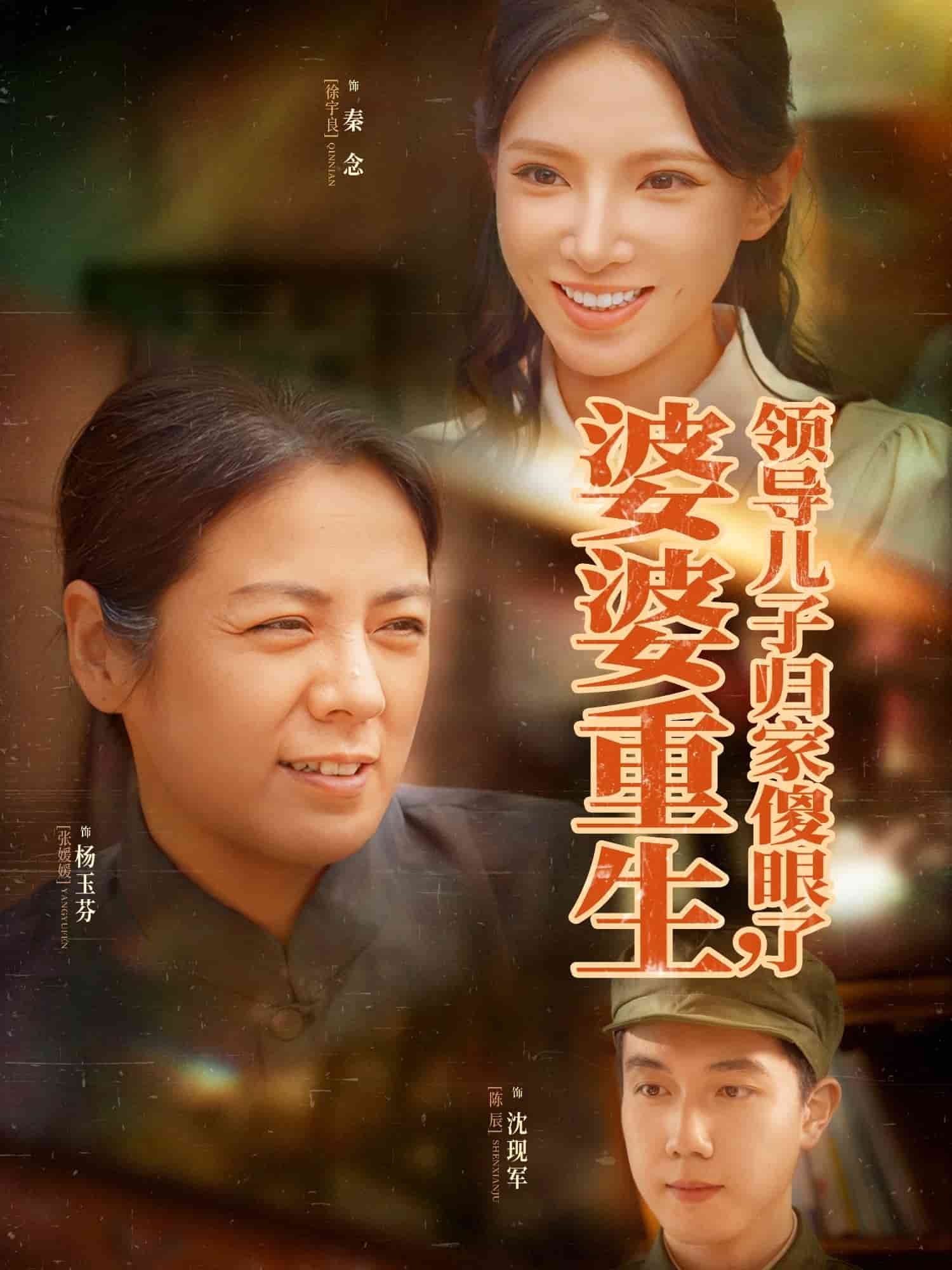 婆婆重生領導兒子歸家傻眼了海報